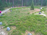 01-16